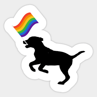 gay pride Sticker